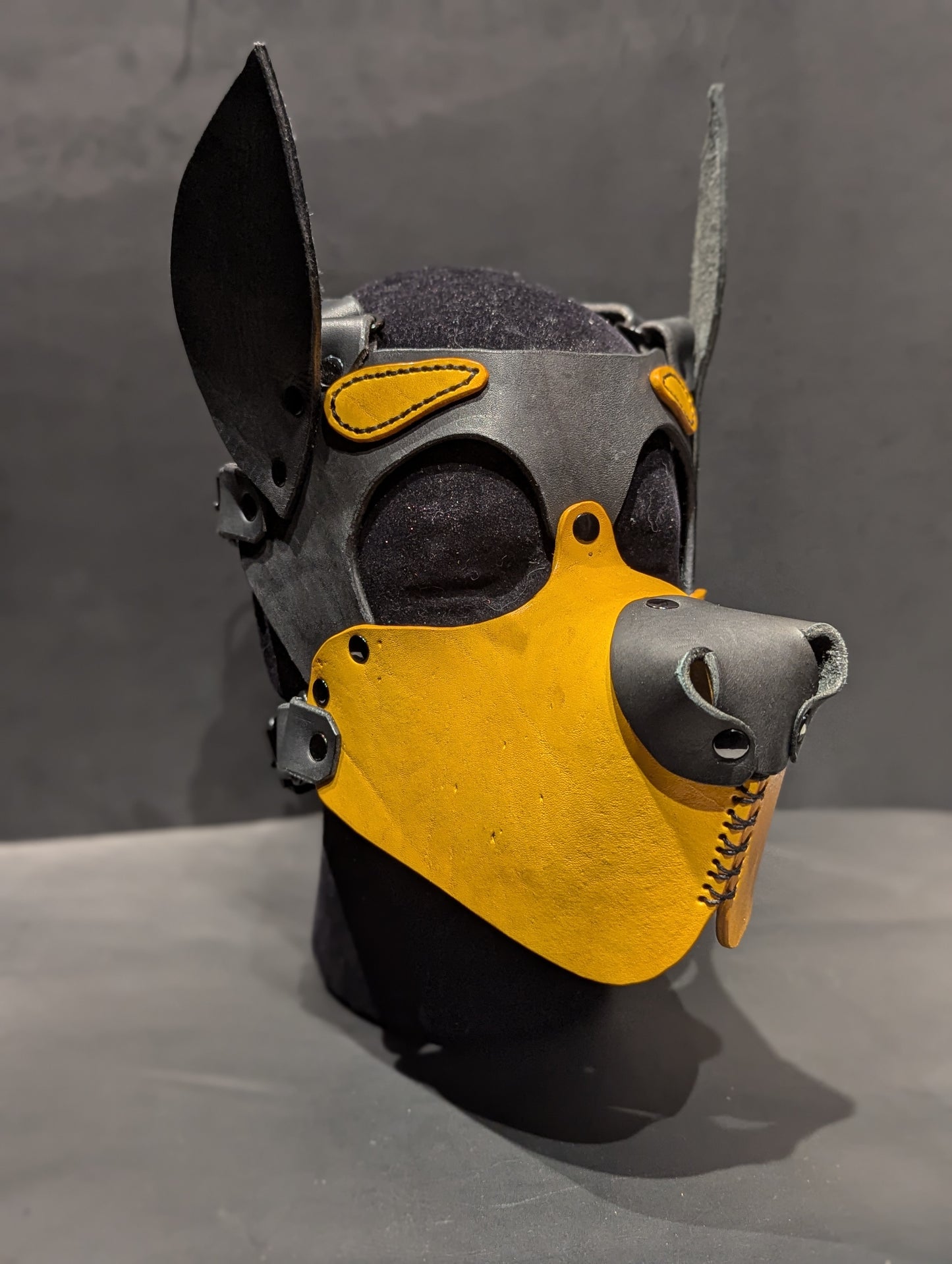 Black & Yellow Pup Hood