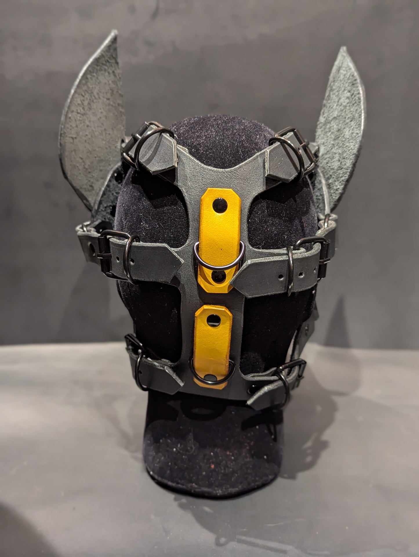 Black & Yellow Pup Hood