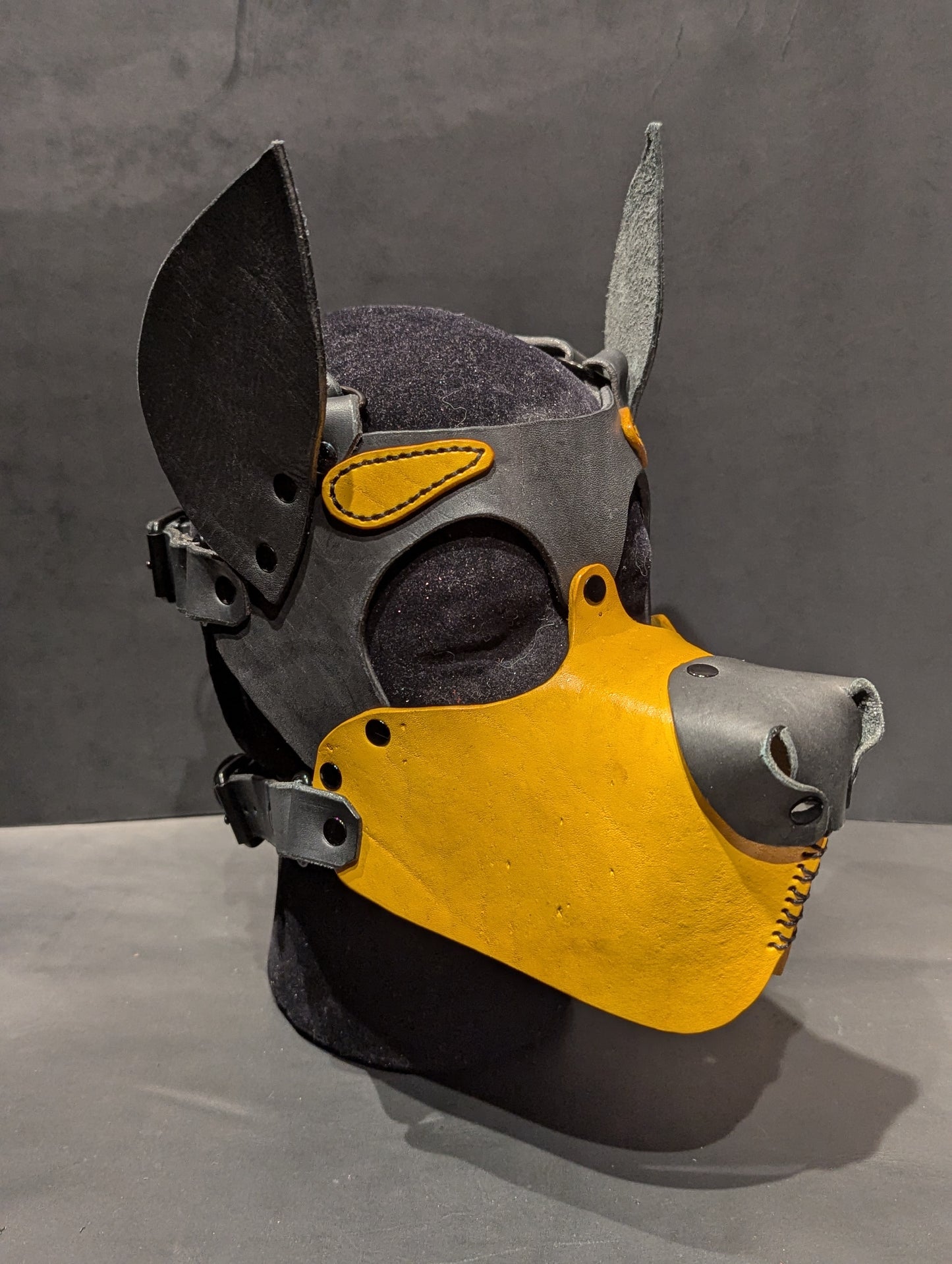 Black & Yellow Pup Hood