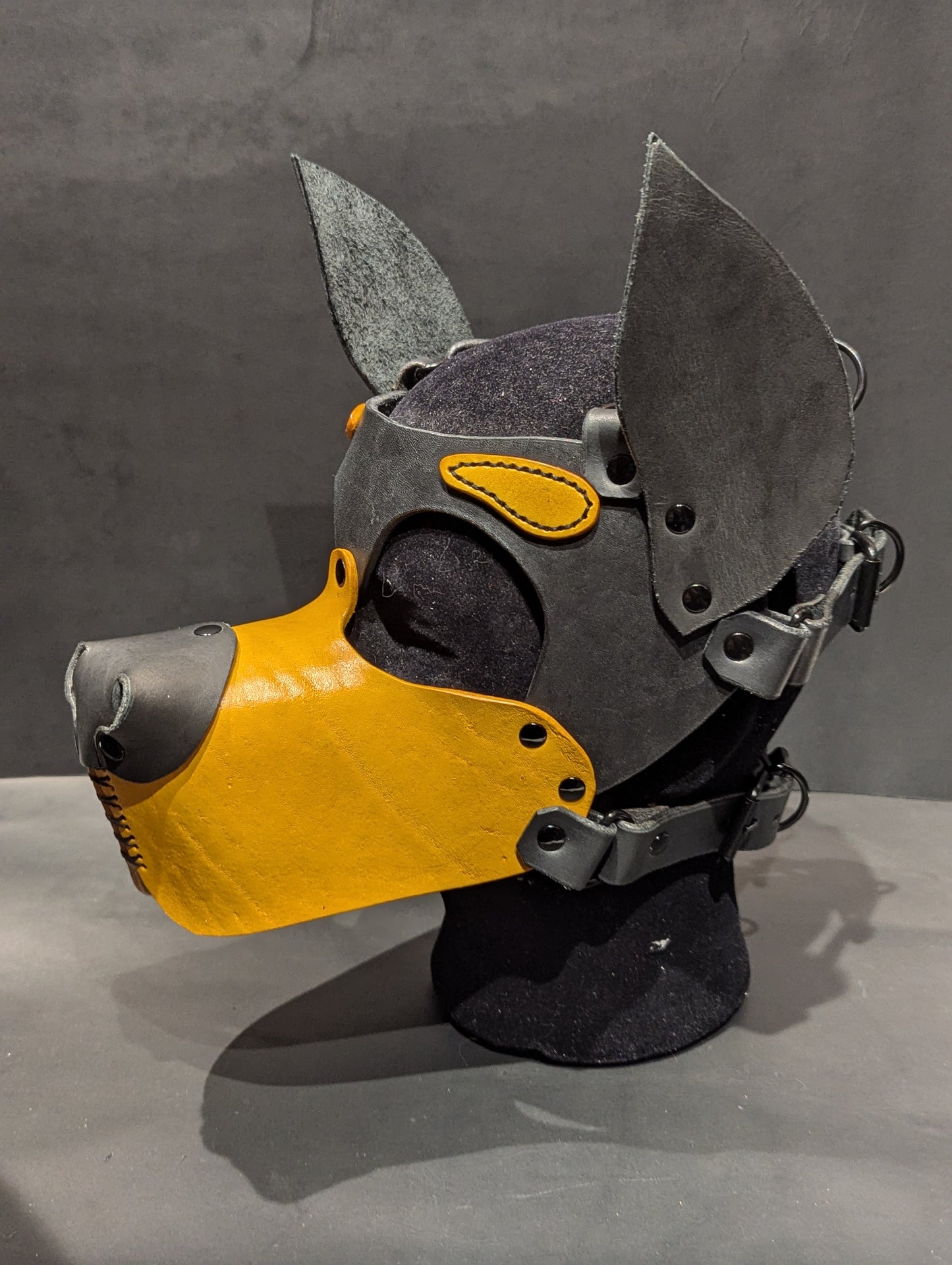 Black & Yellow Pup Hood