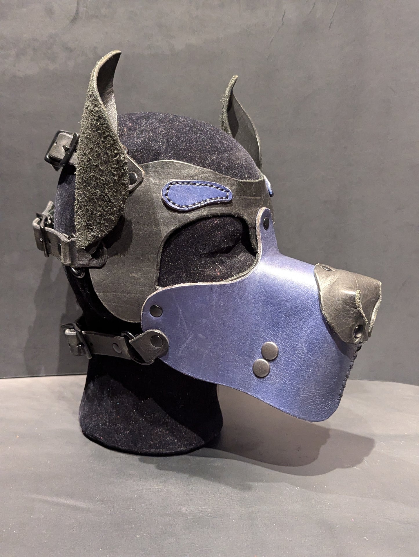 Black & Dark Blue Pup Hood w/lower jaw attachment