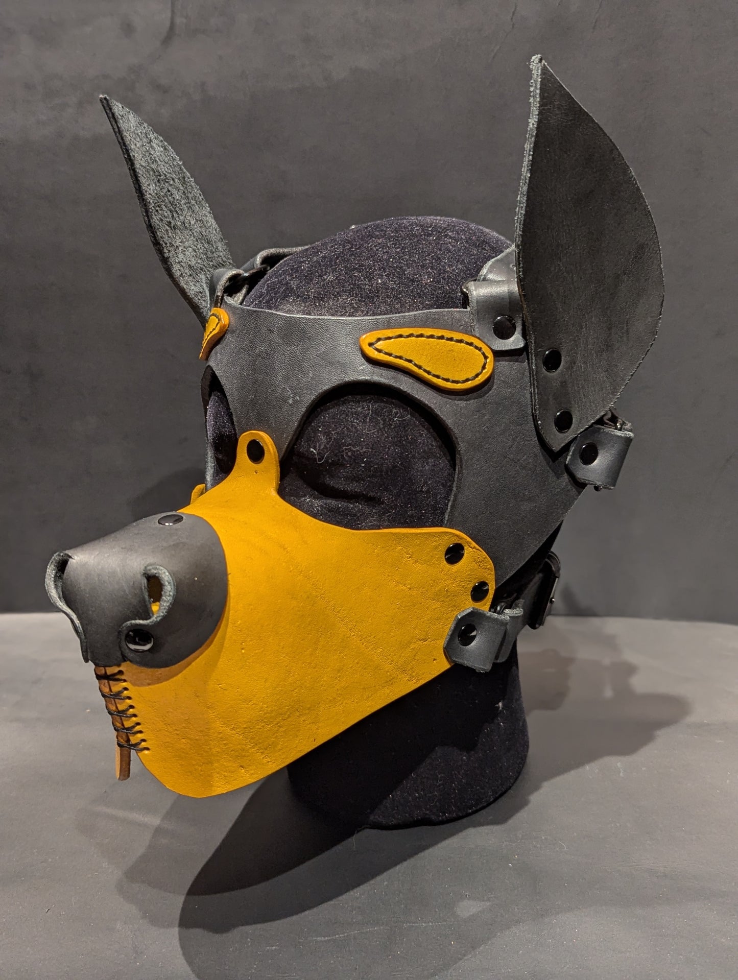 Black & Yellow Pup Hood