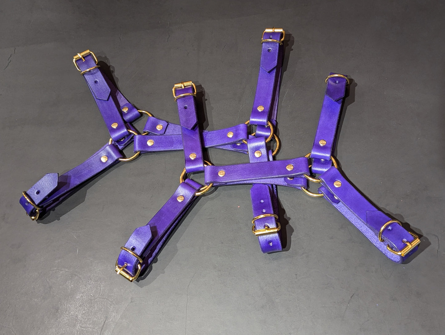 Thin Bulldog Harness Purple & Gold
