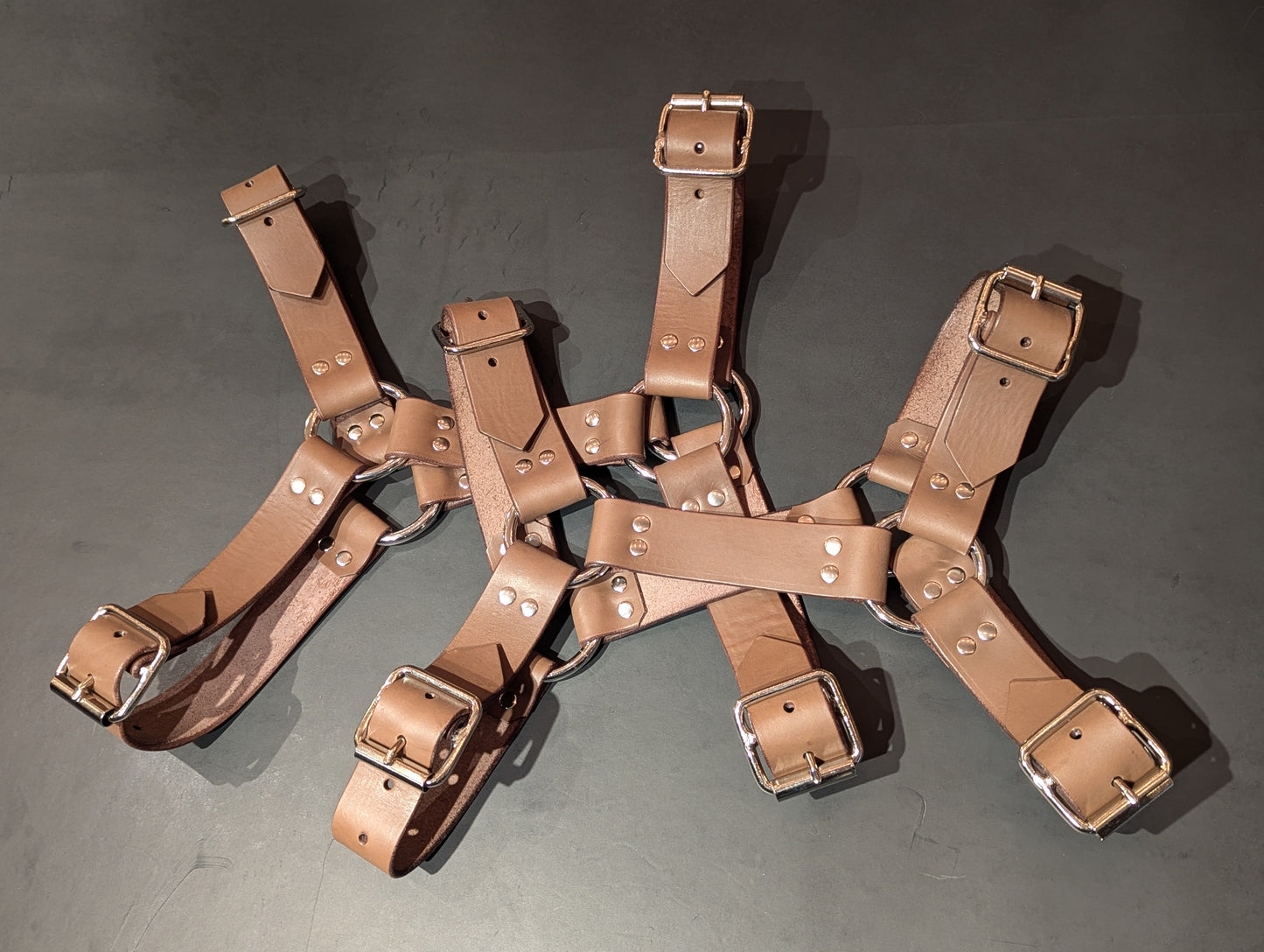Bulldog Harness Brown and Silver