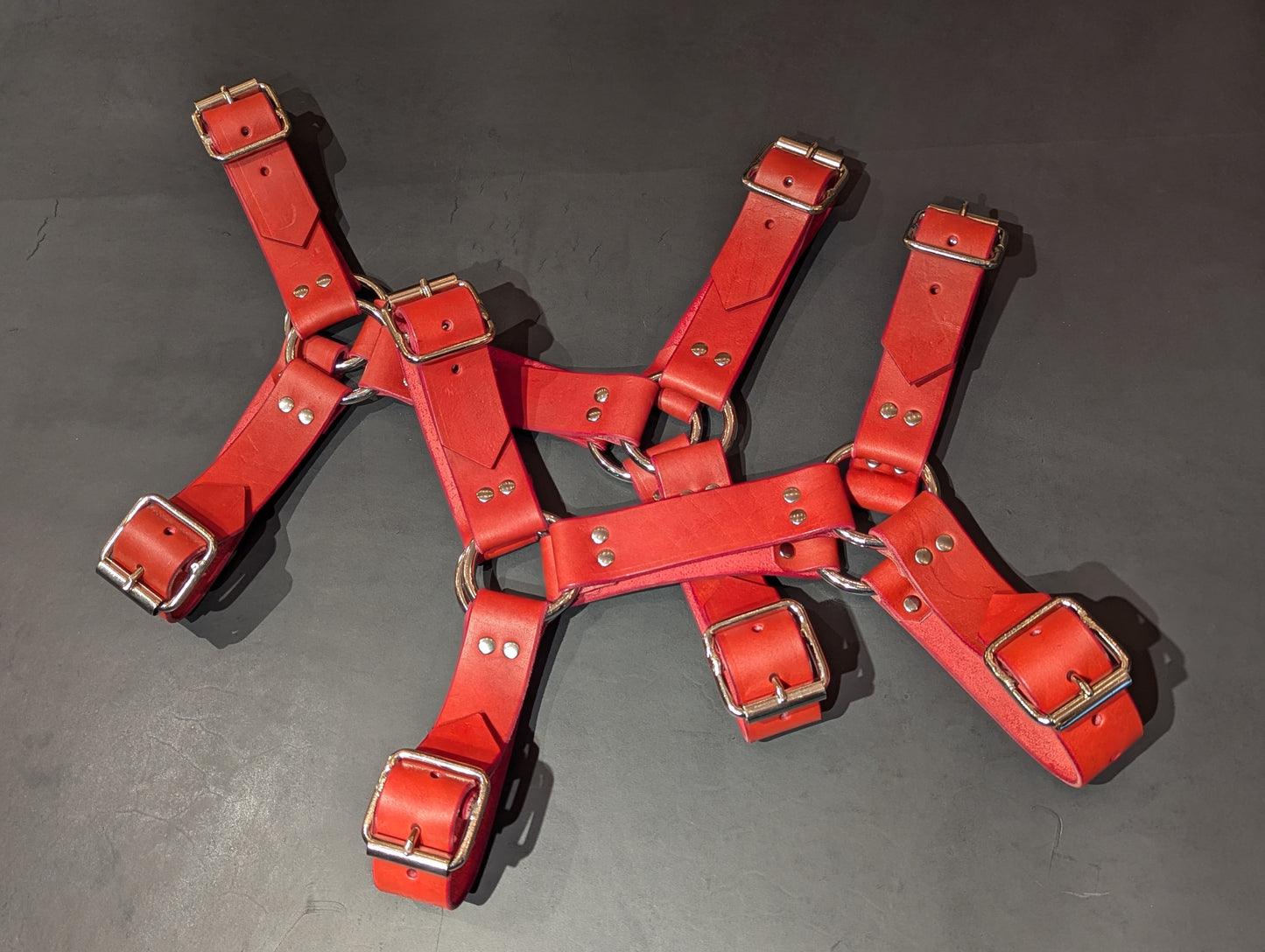 Bulldog Harness Red and Silver