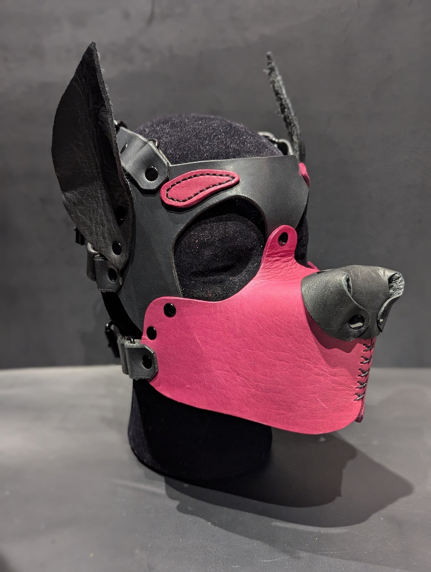 Black and Magenta Pup Hood