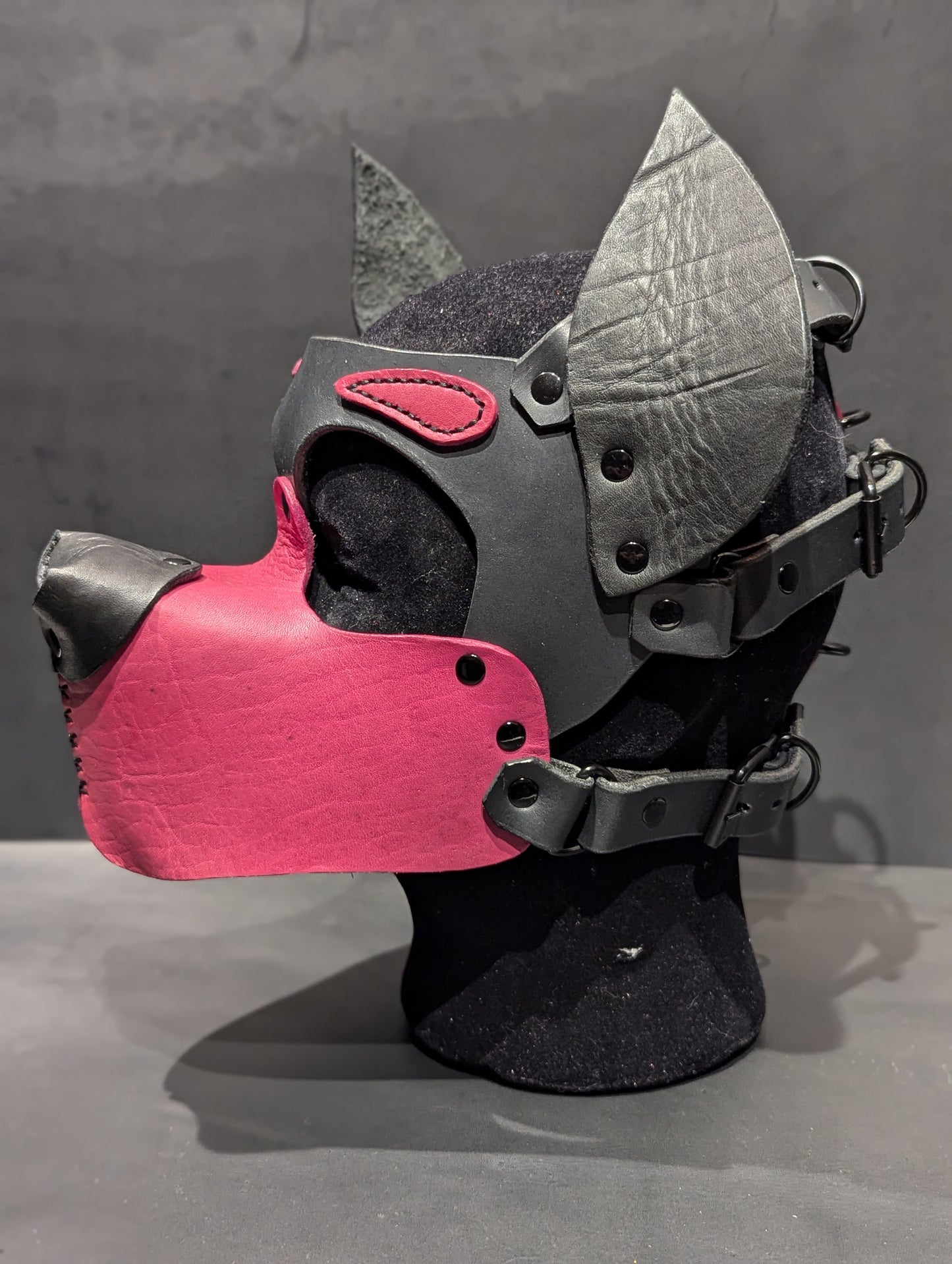 Black and Magenta Pup Hood