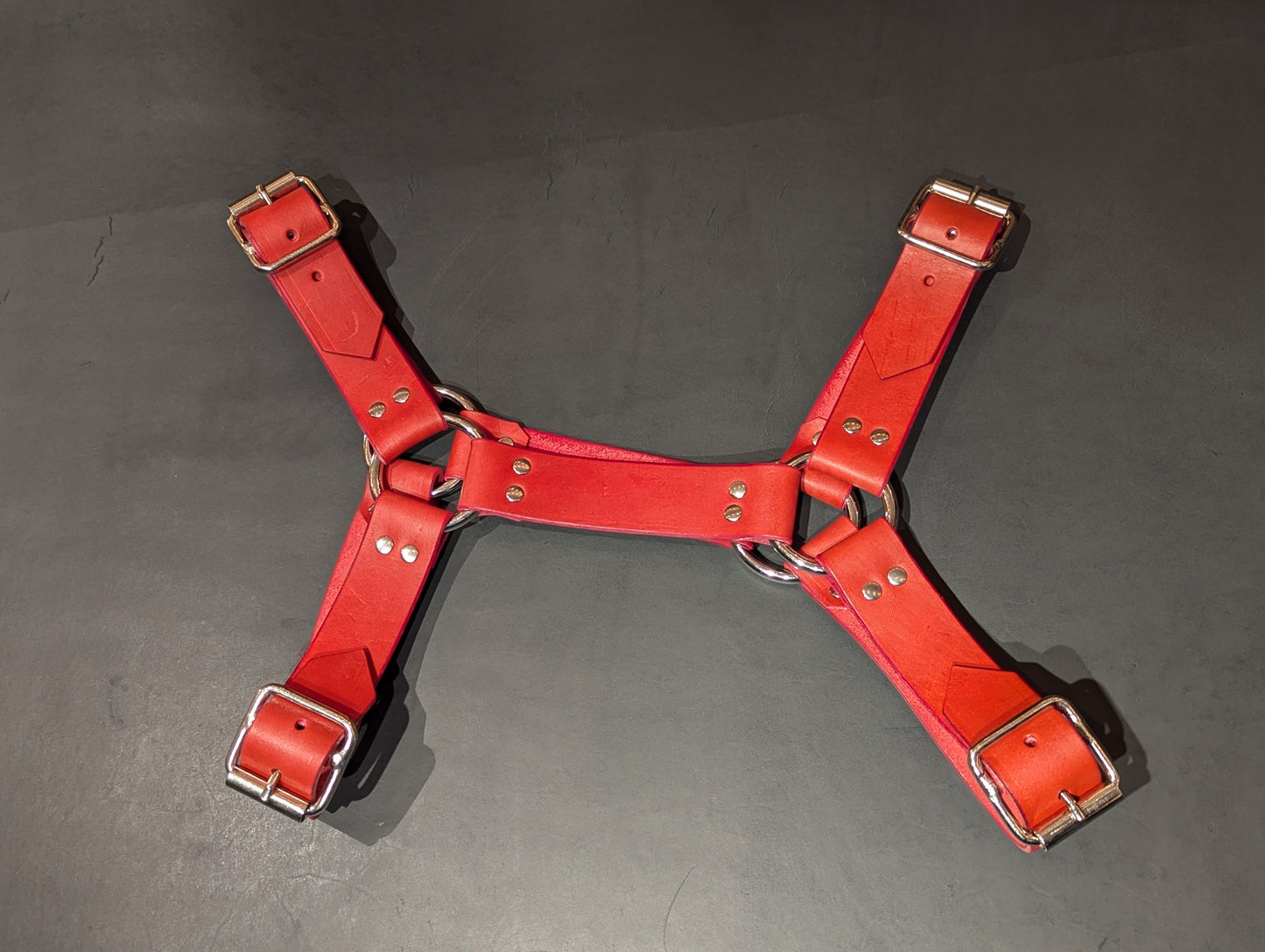 Bulldog Harness Red and Silver