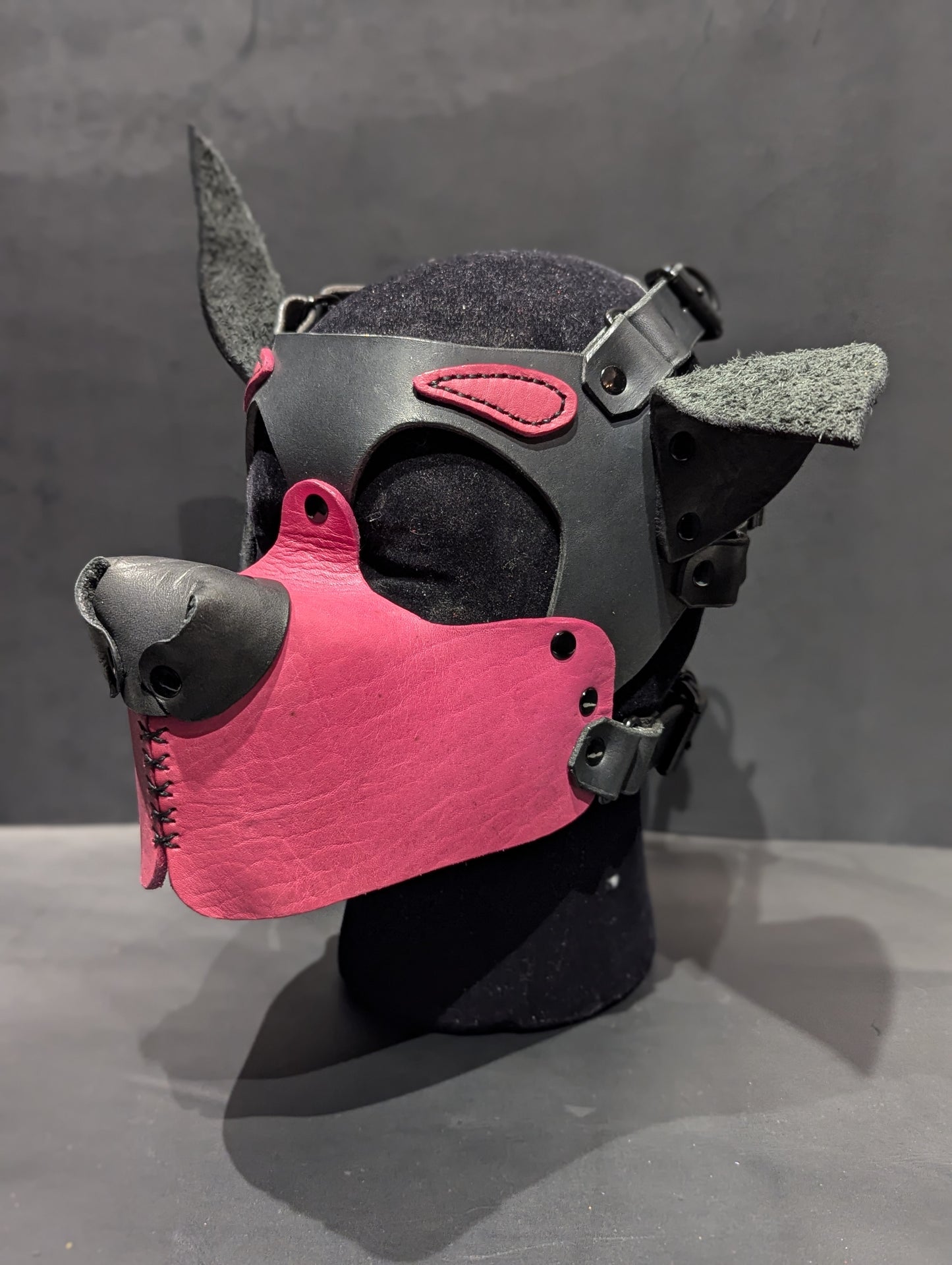 Black and Magenta Pup Hood