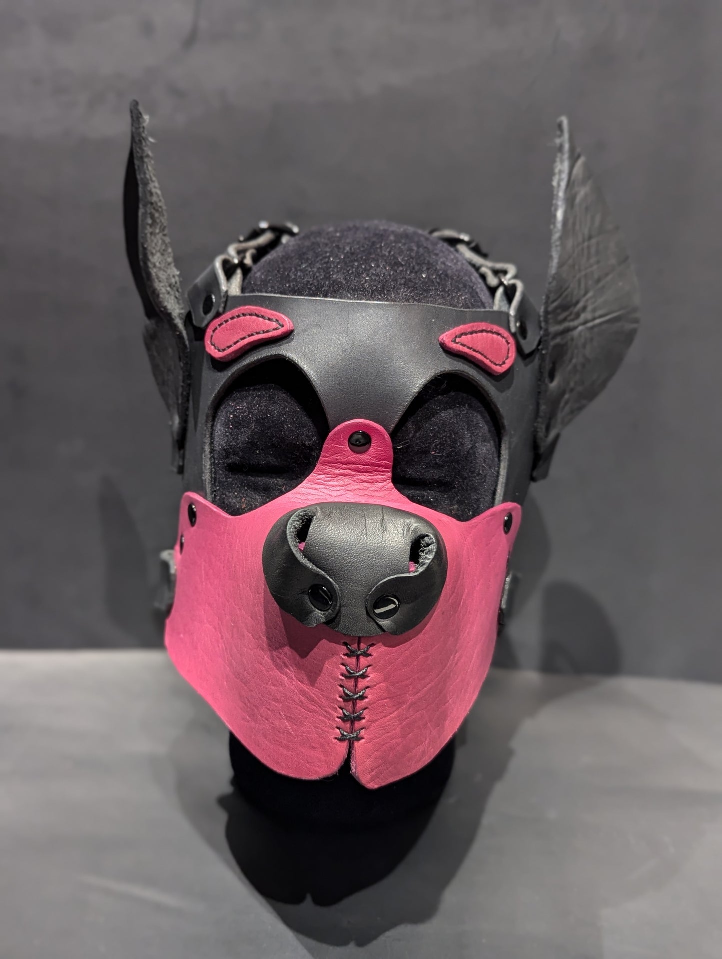 Black and Magenta Pup Hood