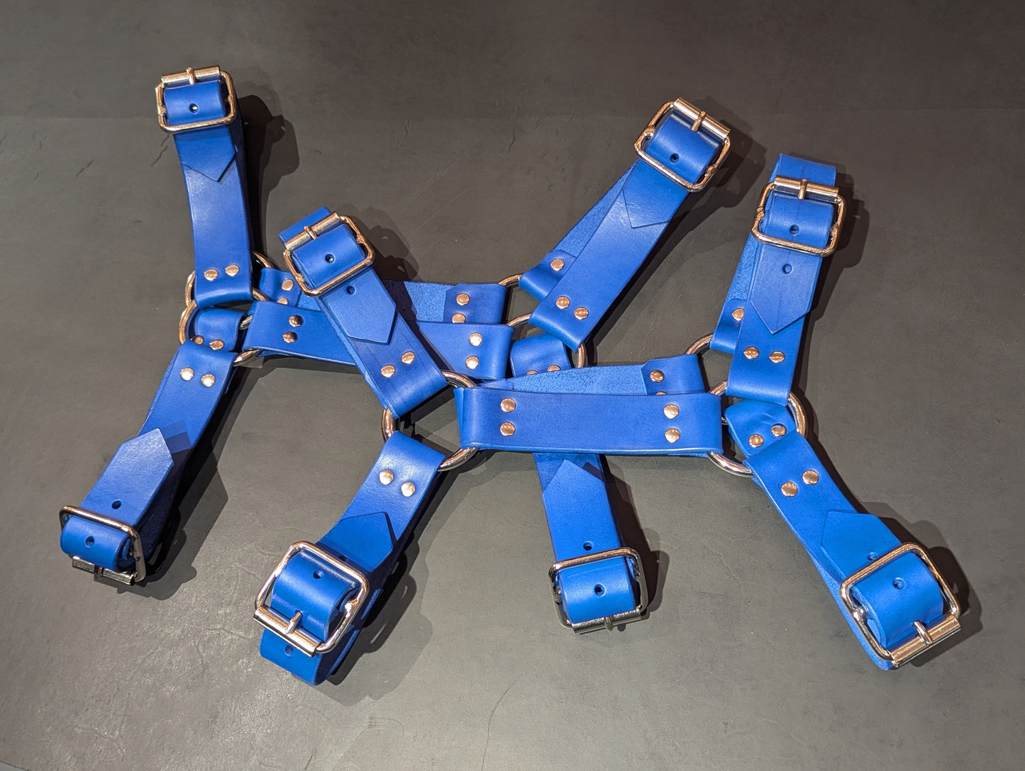 Bulldog Harness Blue and Silver