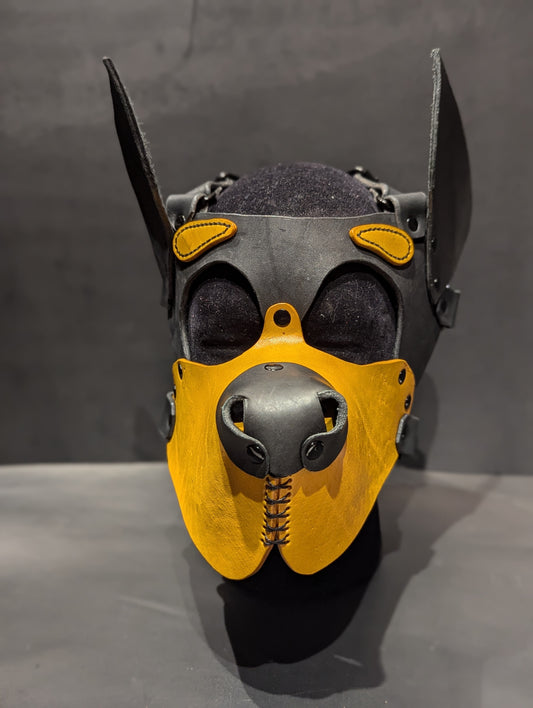 Black & Yellow Pup Hood