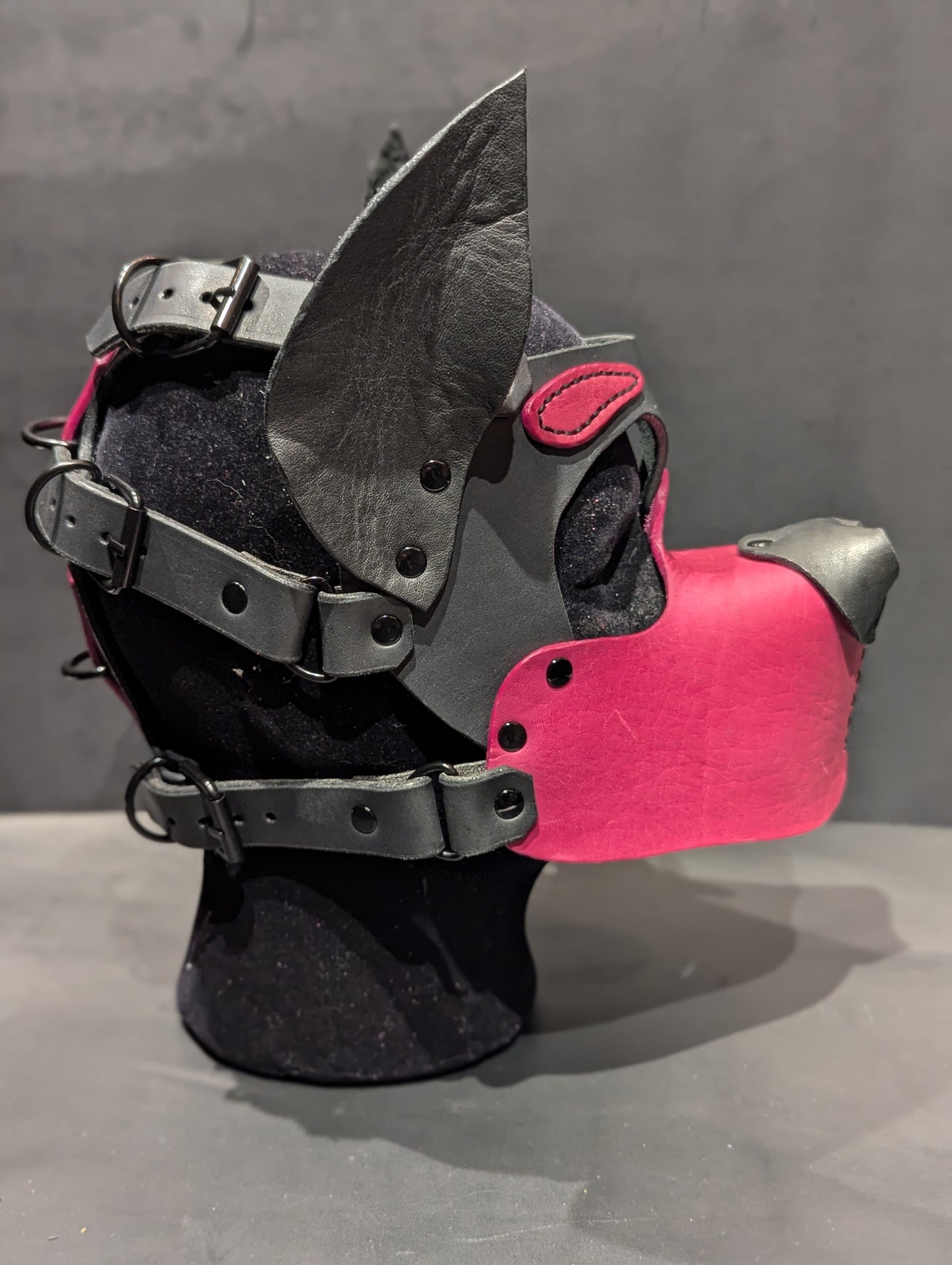 Black and Magenta Pup Hood