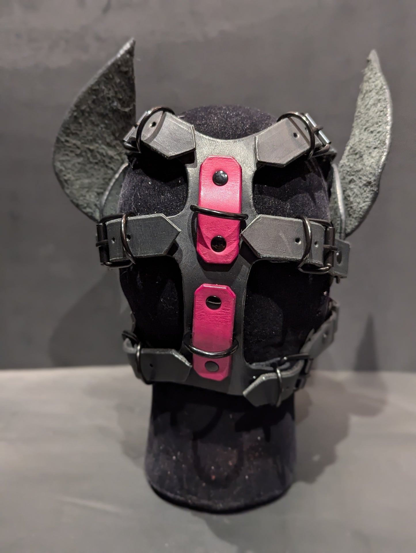 Black and Magenta Pup Hood