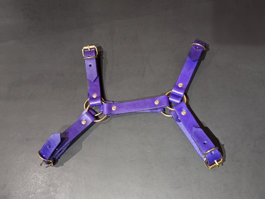 Thin Bulldog Harness Purple & Gold