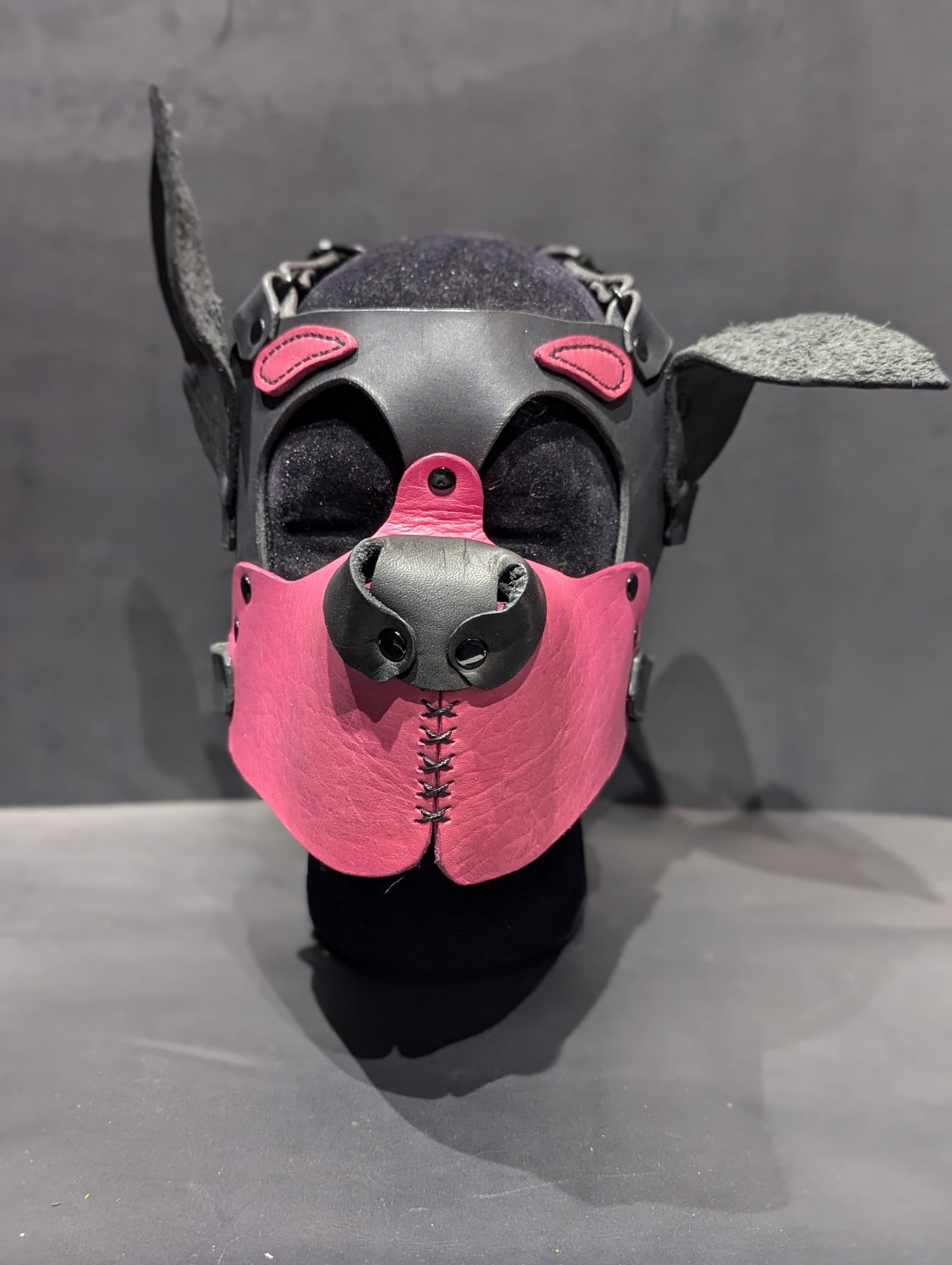 Black and Magenta Pup Hood