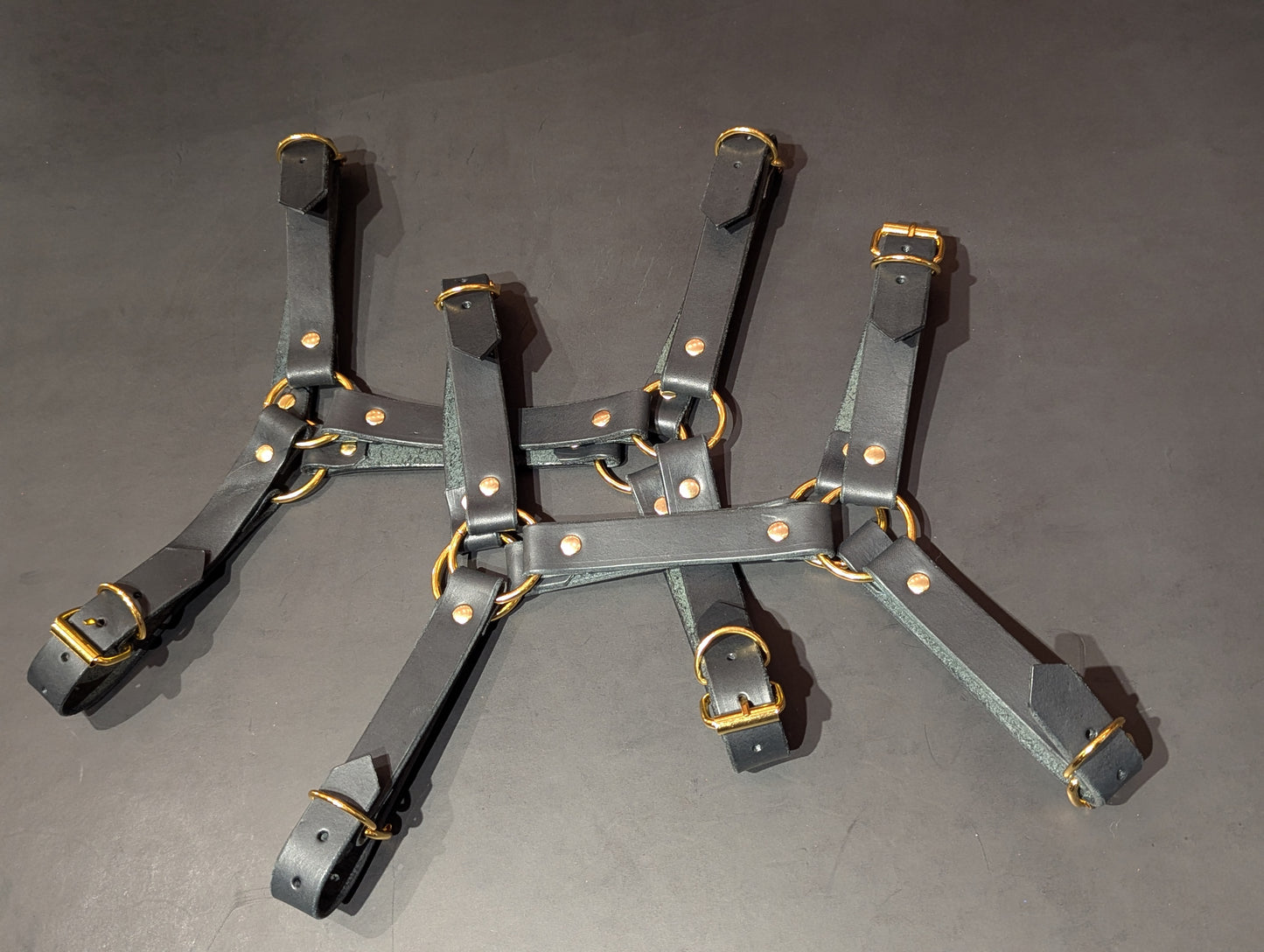 Thin Bulldog Harness Black & Gold