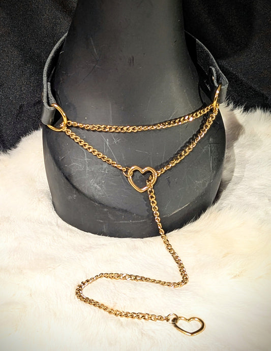 Martingale Leash Collar