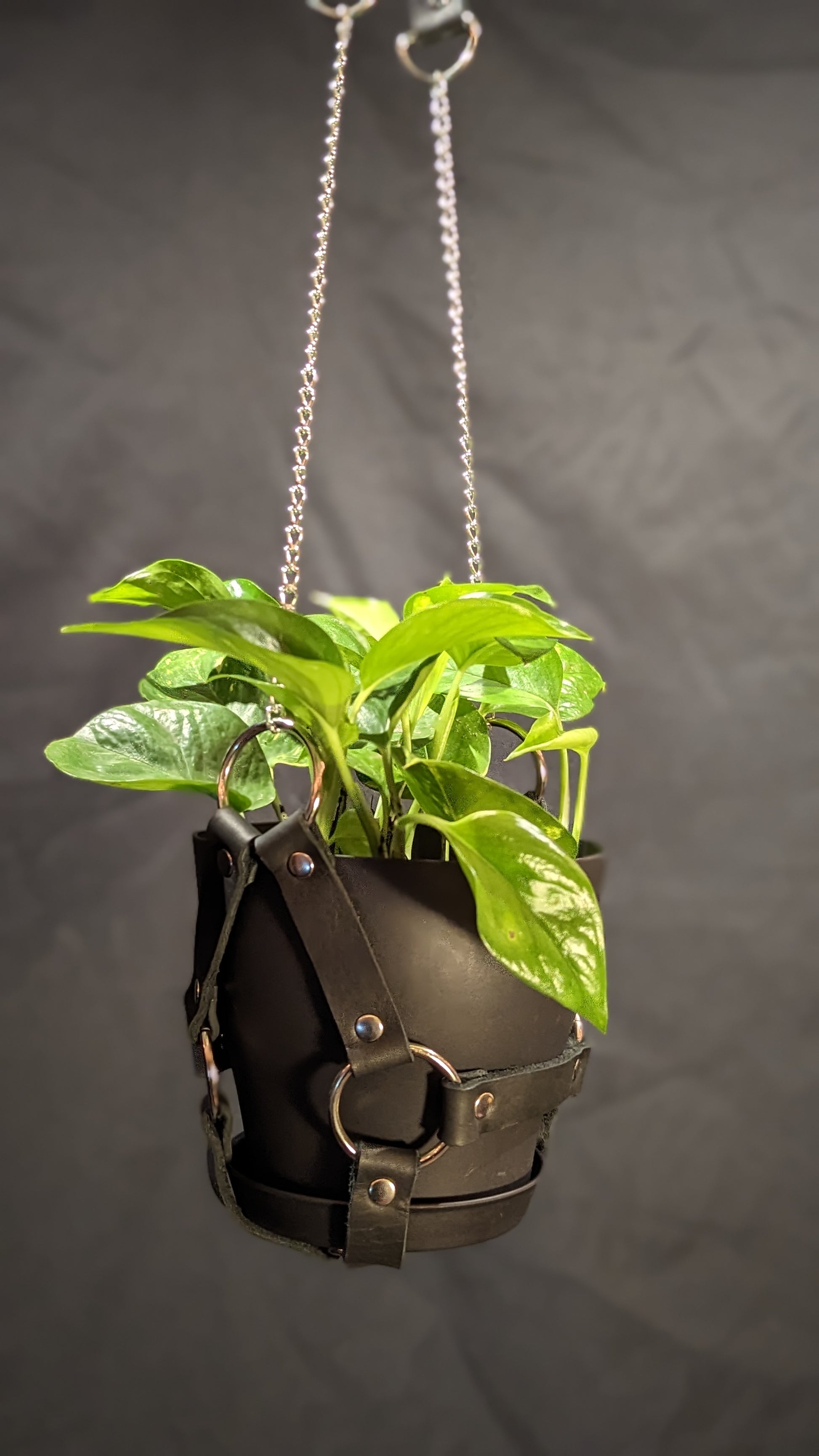 black plant hanger Leather Plant Hanger
